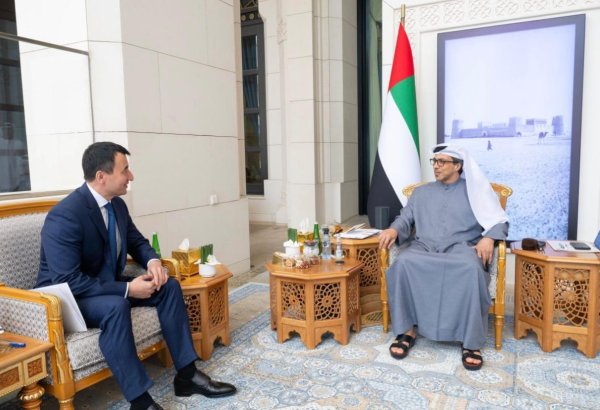 Uzbekistan, UAE deepen investment co-op with 100 joint projects