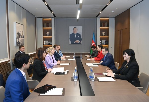 Azerbaijan and U.S. explore strategic cooperation issues