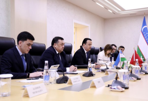 Uzbekistan unveils growing number of Chinese-backed enterprises