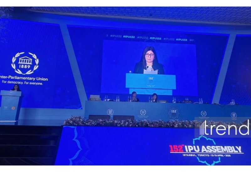 Azerbaijani MP addresses Women Parliamentarians’ Bureau and Forum in Istanbul (PHOTO/VIDEO)