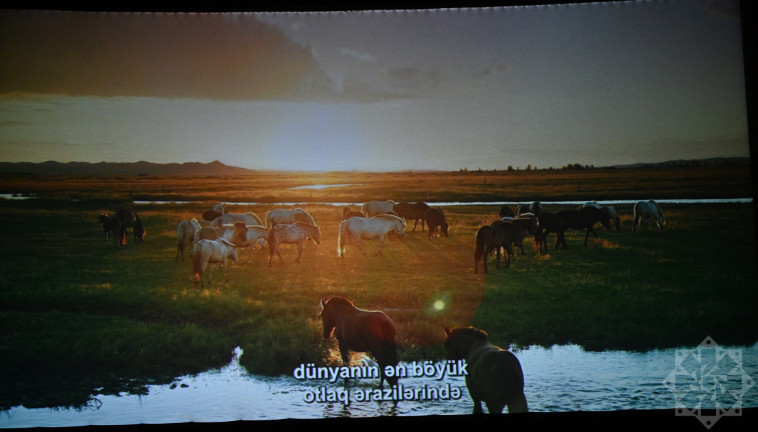 Documentary “Horse Power” presented at Nizami Cinema Center (PHOTO)