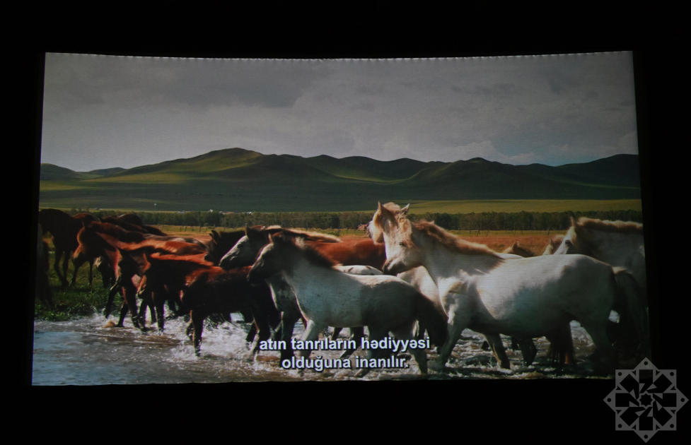 Documentary “Horse Power” presented at Nizami Cinema Center (PHOTO)