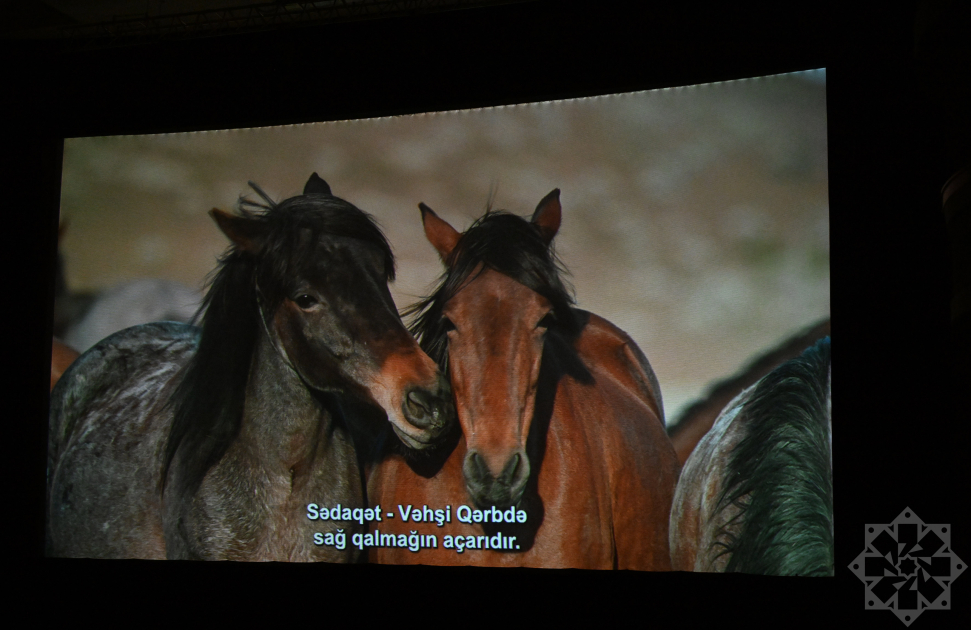Documentary “Horse Power” presented at Nizami Cinema Center (PHOTO)