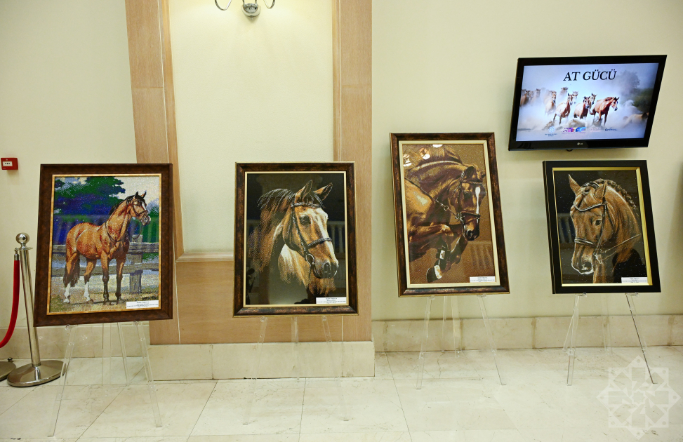 Documentary “Horse Power” presented at Nizami Cinema Center (PHOTO)