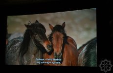 Documentary “Horse Power” presented at Nizami Cinema Center (PHOTO)