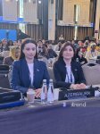 Azerbaijani MP addresses Women Parliamentarians’ Bureau and Forum in Istanbul (PHOTO/VIDEO)