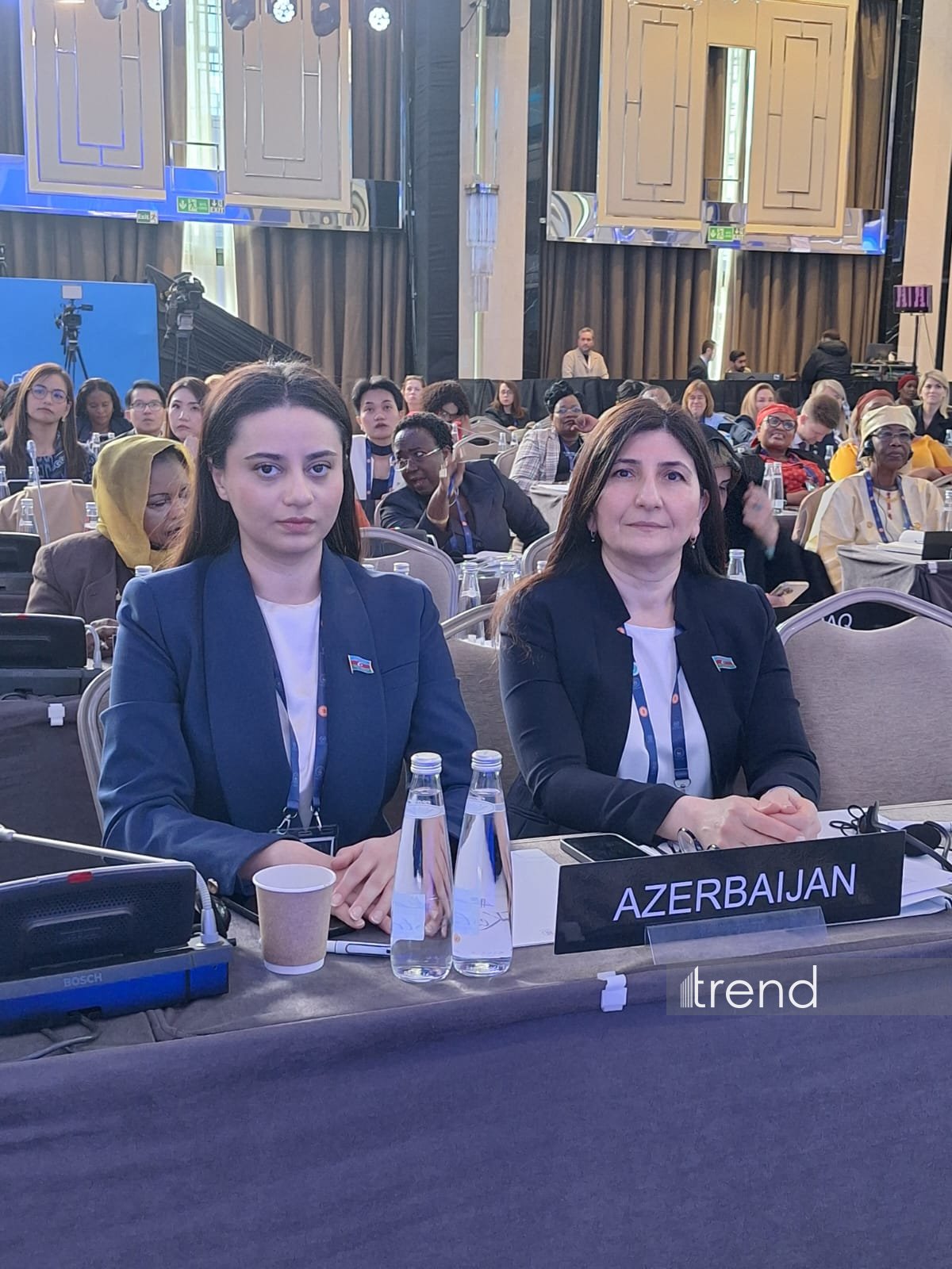 Azerbaijani MP addresses Women Parliamentarians’ Bureau and Forum in Istanbul (PHOTO/VIDEO)