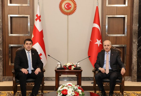Georgia, Türkiye seek to strengthen parliamentary ties