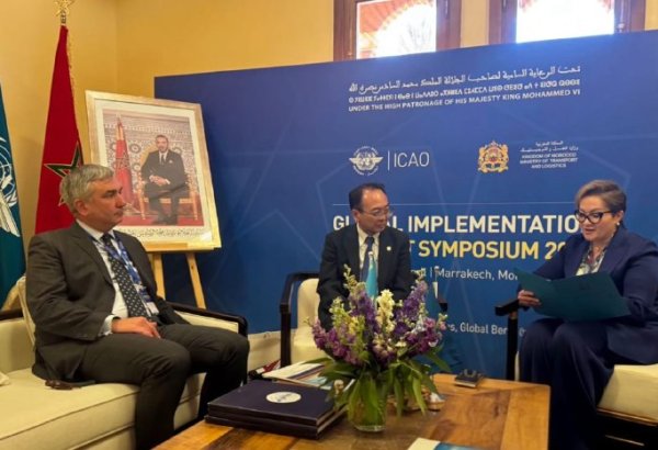 Kazakhstan enters top 20 globally in aviation safety, says civil aviation committee chair