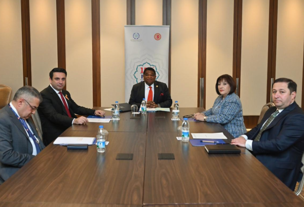 Azerbaijani and Armenian parliamentary speakers meet in Türkiye's Istanbul (PHOTO)