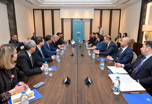 Speaker of Azerbaijani Parliament meets with Algerian counterpart in Istanbul (PHOTO)