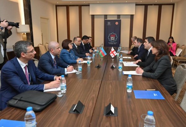 Azerbaijani Parliament Speaker meets with Speaker of Parliament of Georgia (PHOTO)