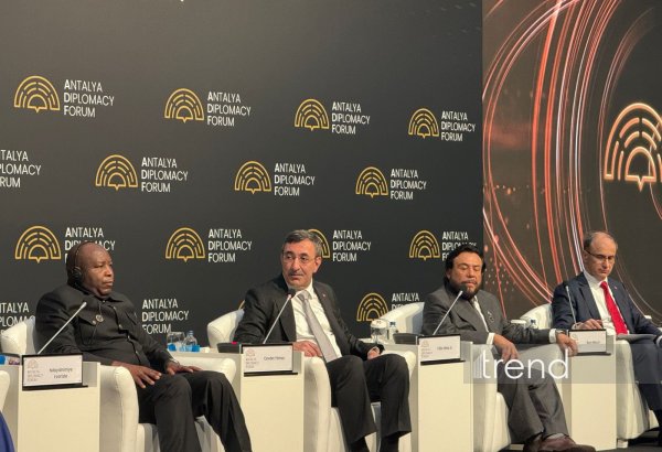 Türkiye calls for work to reform global system and develop practical regional cooperation