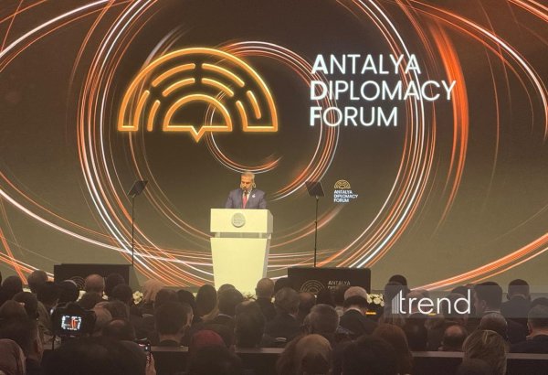 Turkish FM stresses importance of regional responsibility in Middle East