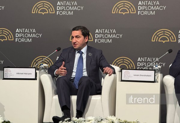 Azerbaijani Presidential Aide calls for avoiding new dividing lines in South Caucasus