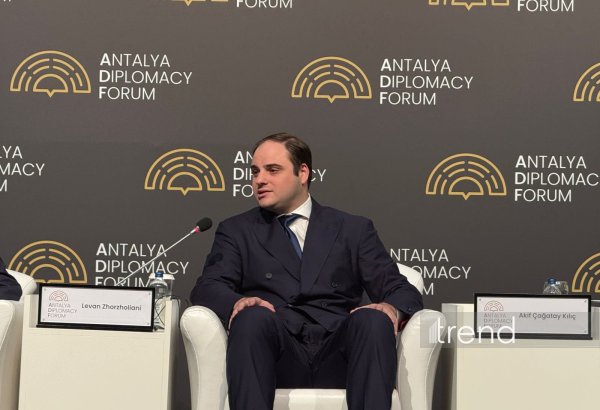 Georgia seeks partner cooperation to advance Middle Corridor - official