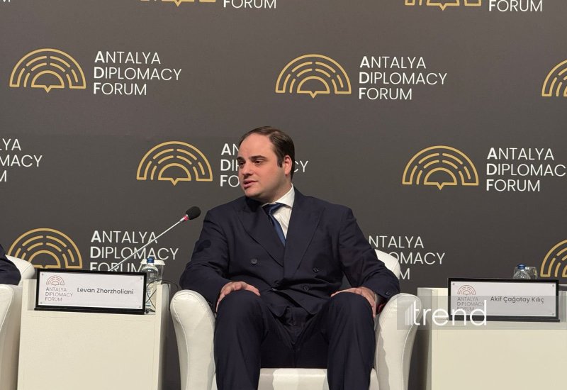 Georgia seeks partner cooperation to advance Middle Corridor - official