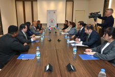 Azerbaijan, Dominican Republic discuss dev't of inter-parliamentary relations (PHOTO)