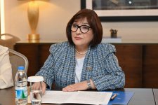 Azerbaijan, Dominican Republic discuss dev't of inter-parliamentary relations (PHOTO)