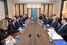 Speaker of Azerbaijani Parliament meets with Algerian counterpart in Istanbul (PHOTO)