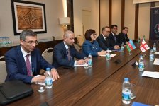 Azerbaijani Parliament Speaker meets with Speaker of Parliament of Georgia (PHOTO)