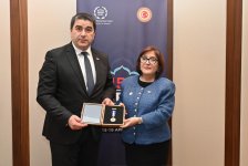 Azerbaijani Parliament Speaker meets with Speaker of Parliament of Georgia (PHOTO)