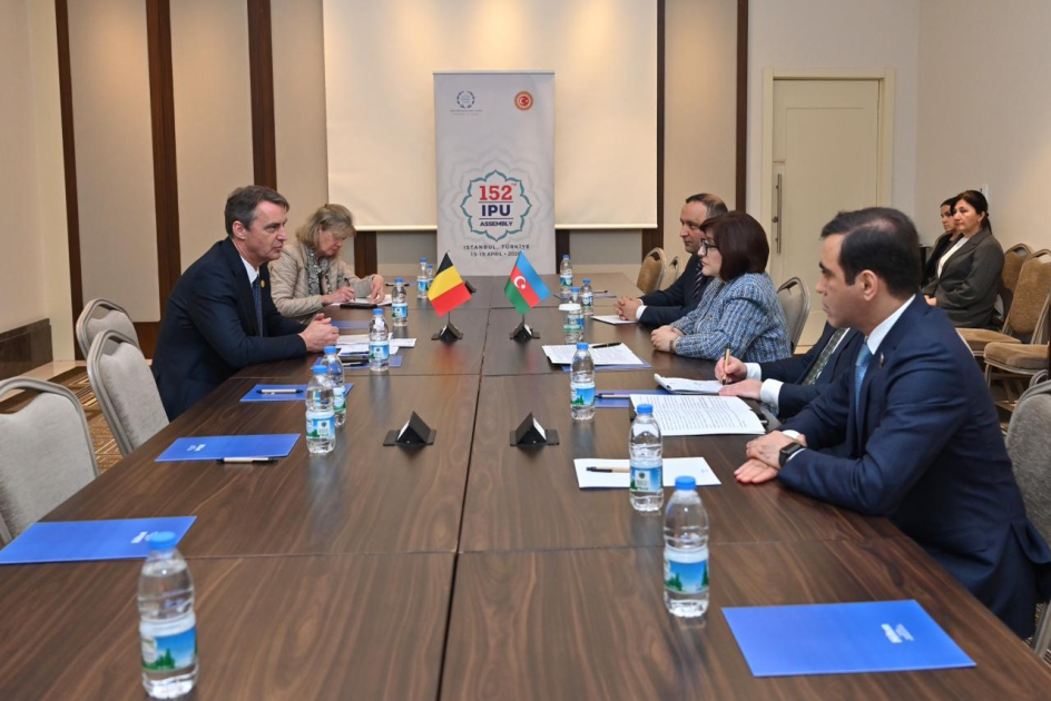 Azerbaijani Parliament Speaker briefs Belgian counterpart on country's normalization process with Armenia (PHOTO)