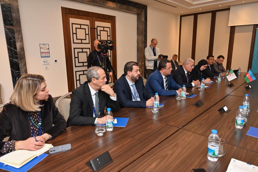 Speaker of Azerbaijani Parliament meets with Algerian counterpart in Istanbul (PHOTO)