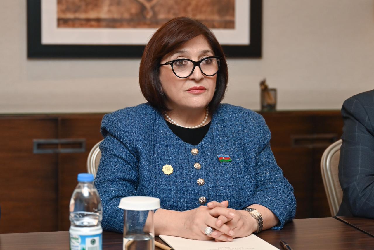 Azerbaijani Parliament Speaker meets with Speaker of Parliament of Georgia (PHOTO)