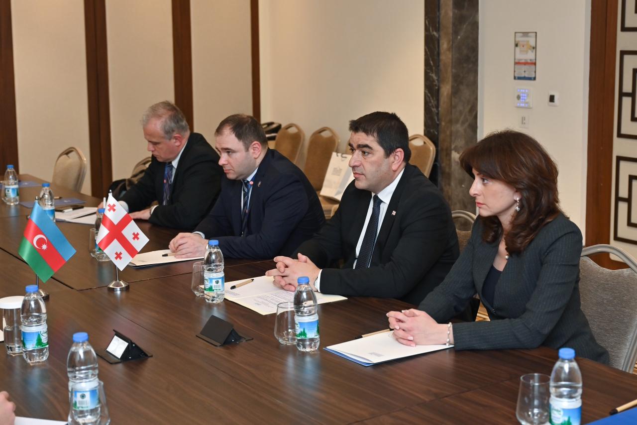 Azerbaijani Parliament Speaker meets with Speaker of Parliament of Georgia (PHOTO)