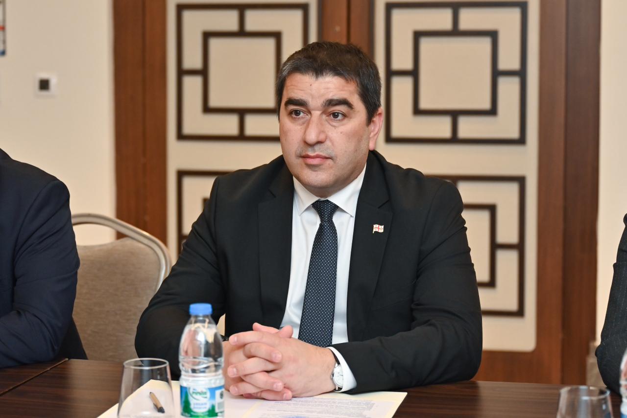 Azerbaijani Parliament Speaker meets with Speaker of Parliament of Georgia (PHOTO)