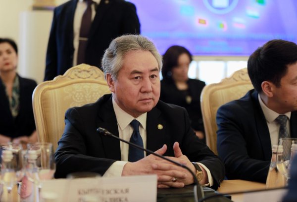 Kyrgyz minister notes strong progress in Central Asia over 35 years