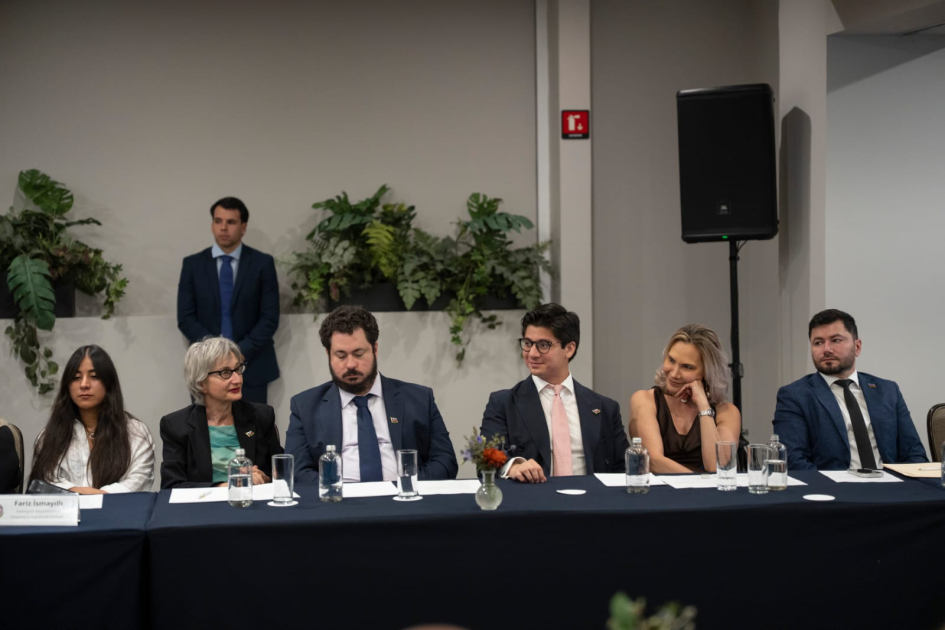 Azerbaijani expats uphold national pride on global platforms – committee chair says (PHOTO)