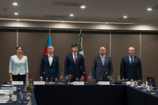 Azerbaijani expats uphold national pride on global platforms – committee chair says (PHOTO)