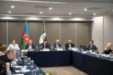Azerbaijani expats uphold national pride on global platforms – committee chair says (PHOTO)