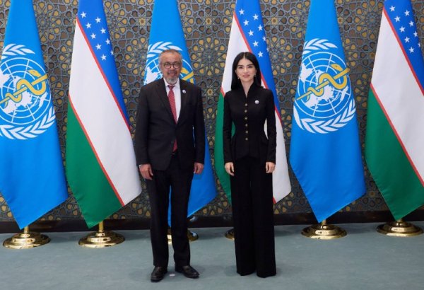 Uzbekistan, WHO discuss healthcare reforms and digital medicine