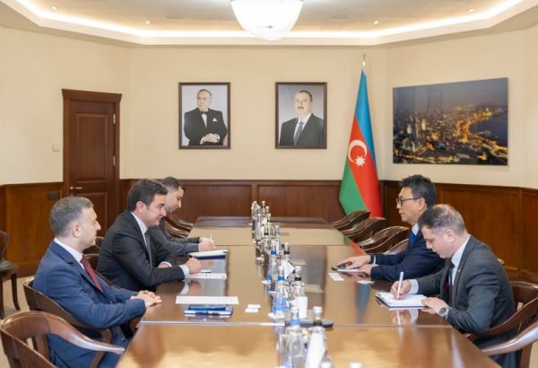 Azerbaijan, Indonesia discuss expanding air transport cooperation