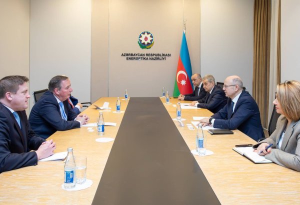 Azerbaijan invites Irish companies to invest in its green energy projects