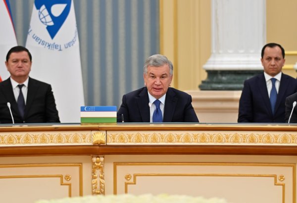 Uzbekistan proposes expanding UN trust fund to entire Aral Sea basin - President Mirziyoyev