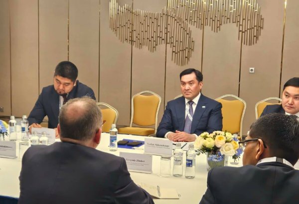 Kazakhstan, ADB discuss prospects for cooperation in energy sector