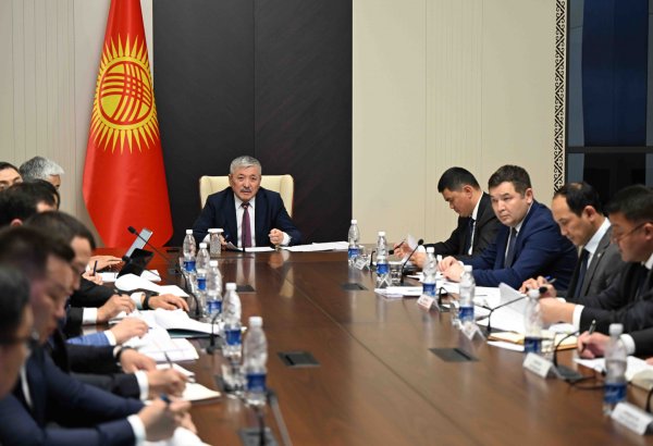 Kyrgyzstan strives to fast-track industrial projects and support investors