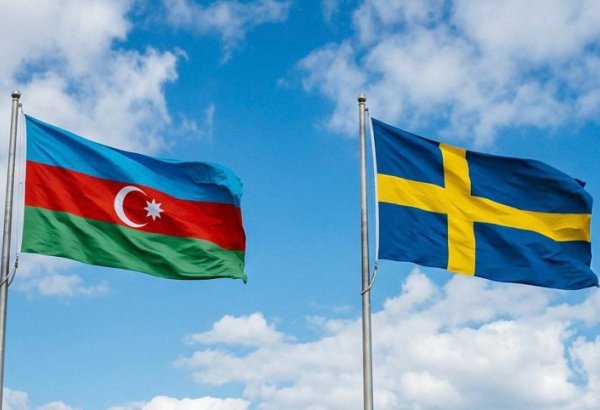 Azerbaijan is key regional hub for Swedish business expansion into Caucasus, Central Asia - Executive Director (Exclusive interview)