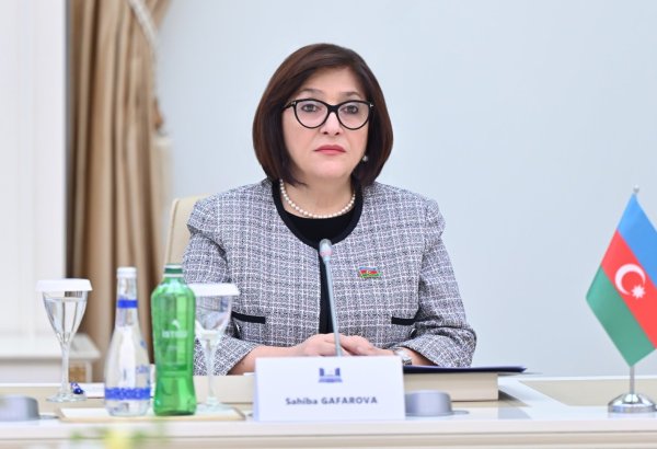 Azerbaijani Parliament Speaker slams adoption of anti-Azerbaijani documents by European Parliament