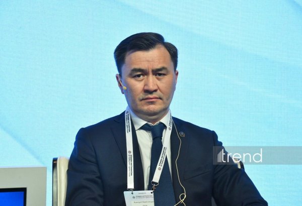 Kazakh official highlights growing role of Middle Corridor in energy trade