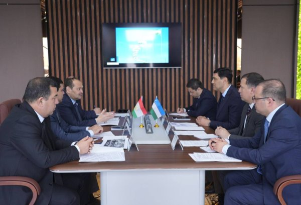 Uzbekistan, Tajikistan, discuss cross-border trade issues and customs digitalization