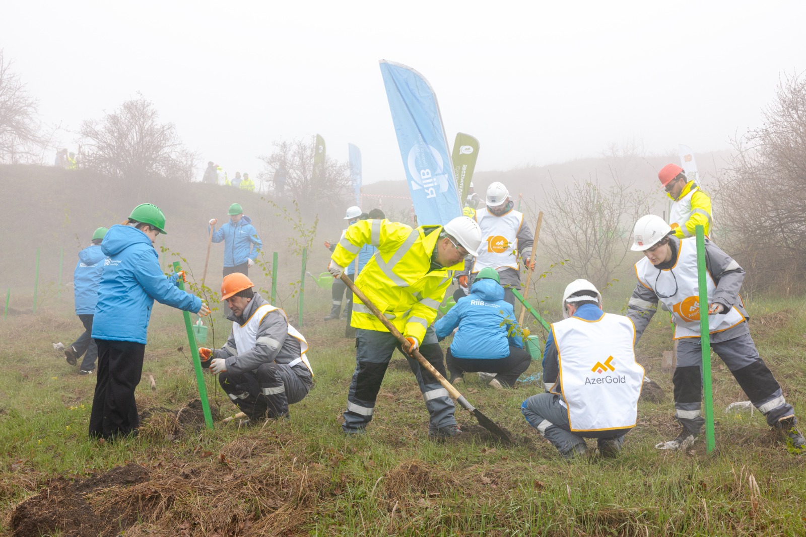Series of tree-planting campaigns held in Dashkasan district (PHOTO)