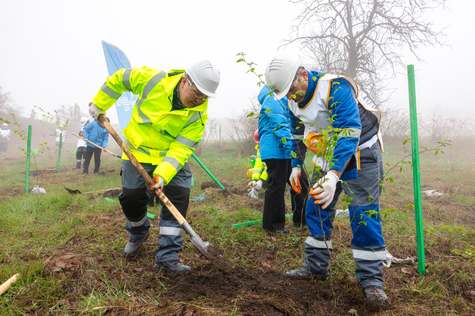 Series of tree-planting campaigns held in Dashkasan district (PHOTO)
