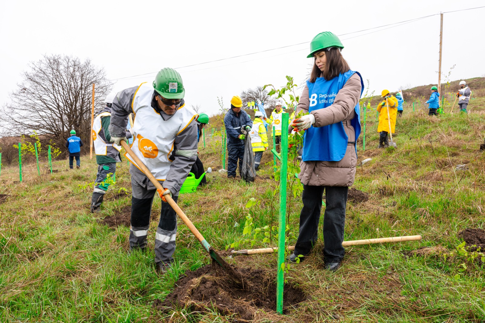 Series of tree-planting campaigns held in Dashkasan district (PHOTO)