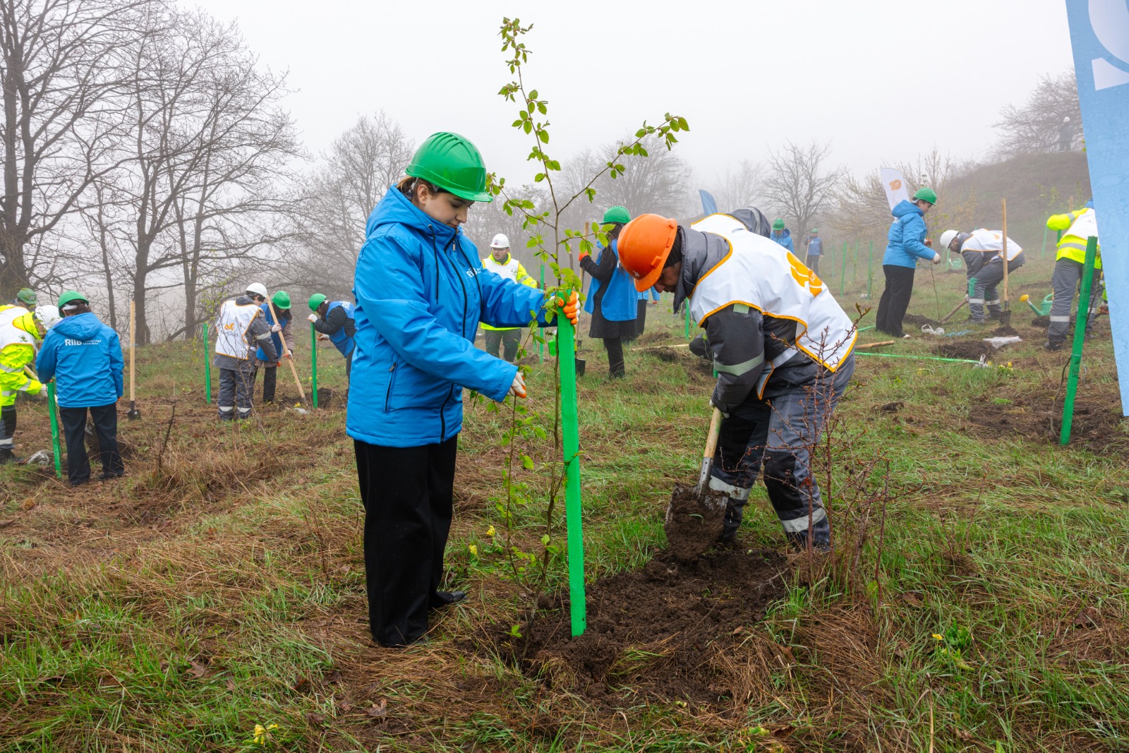 Series of tree-planting campaigns held in Dashkasan district (PHOTO)