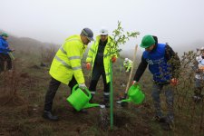 Series of tree-planting campaigns held in Dashkasan district (PHOTO)